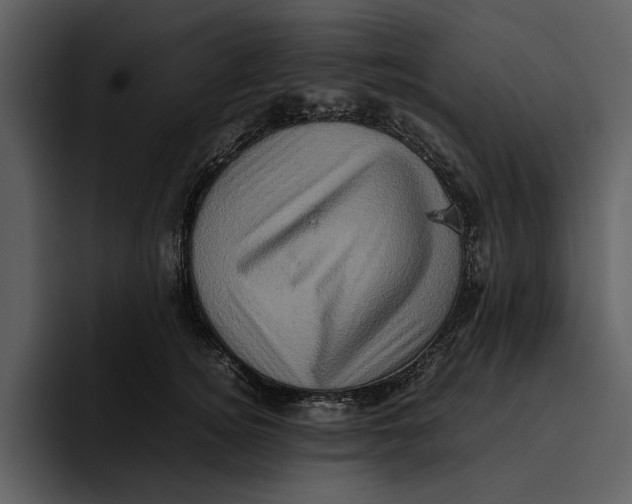 X0000095690756200801291217