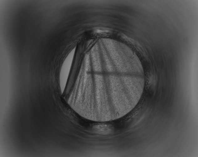 X0000095690759200801291217