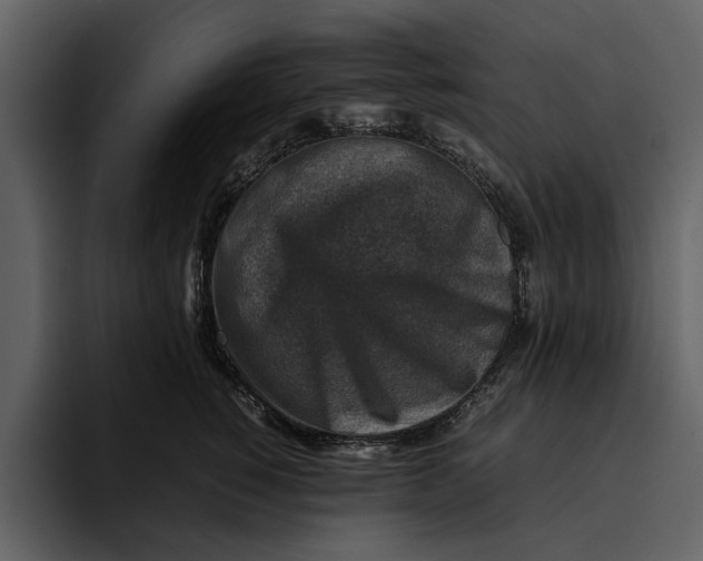 X0000095690760200801291217