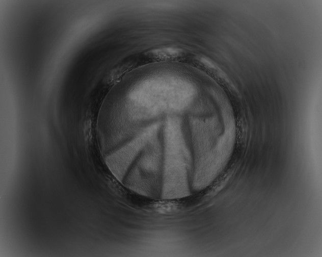 X0000095690762200801291217