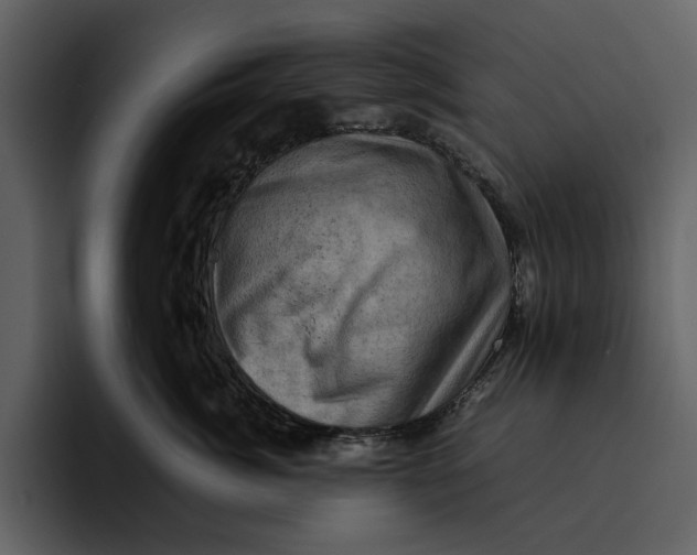 X0000095690764200801291217