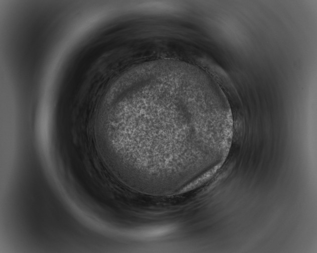 X0000095690765200801291217