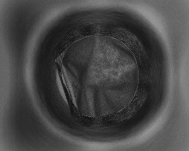 X0000095690766200801291217