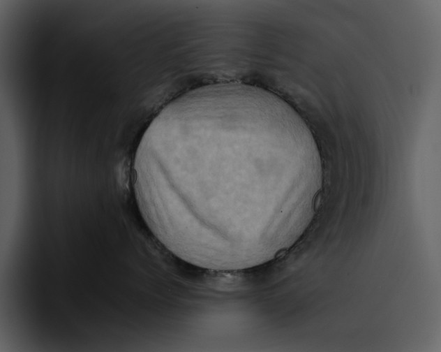 X0000095690768200801291217