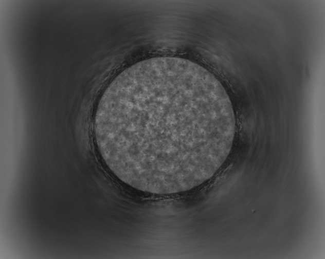 X0000095690769200801291216