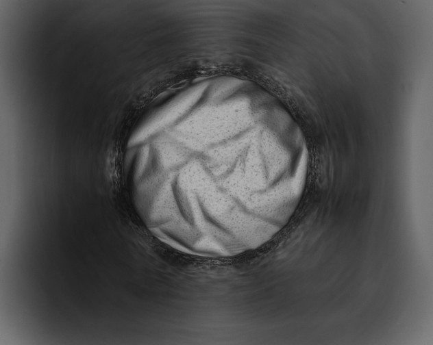 X0000095690770200801291216