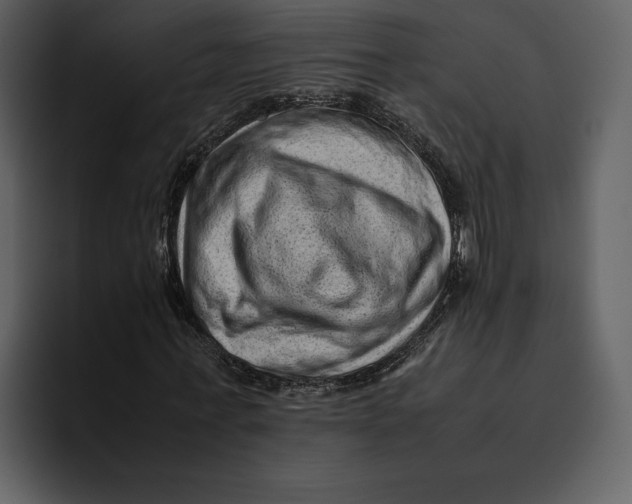 X0000095690771200801291216