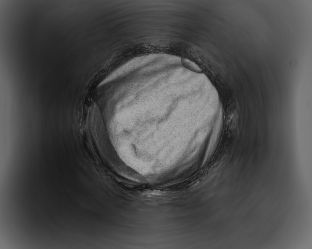 X0000095690772200801291216