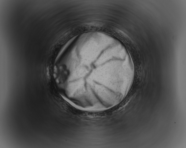 X0000095690774200801291216