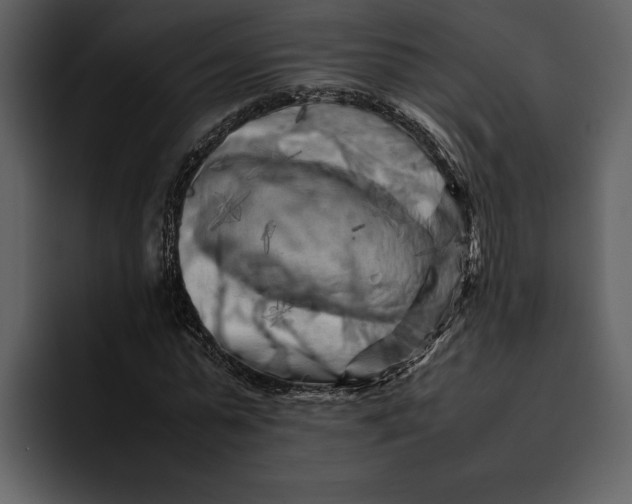 X0000095690775200801291216