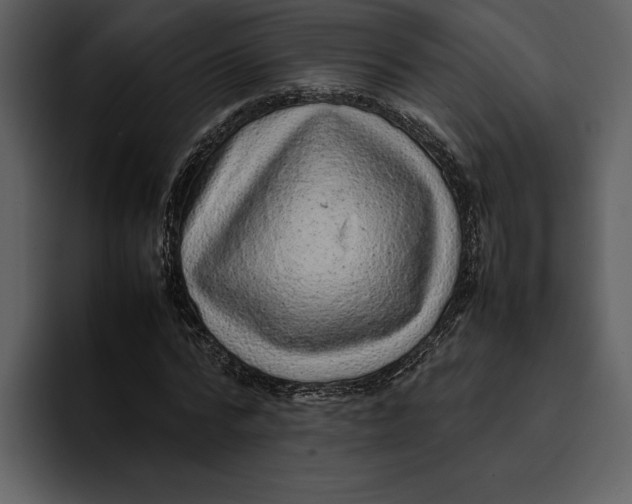 X0000095690776200801291216