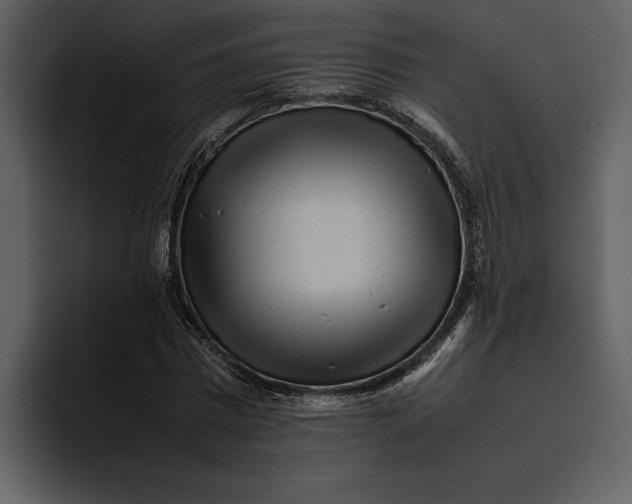 X0000095690777200801291216