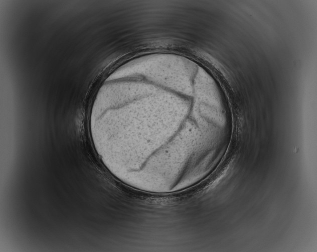 X0000095690778200801291216