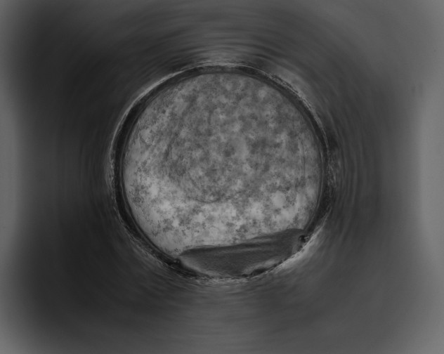 X0000095690779200801291216