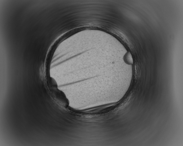 X0000095690780200801291216