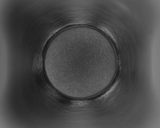 X0000095690781200801291216