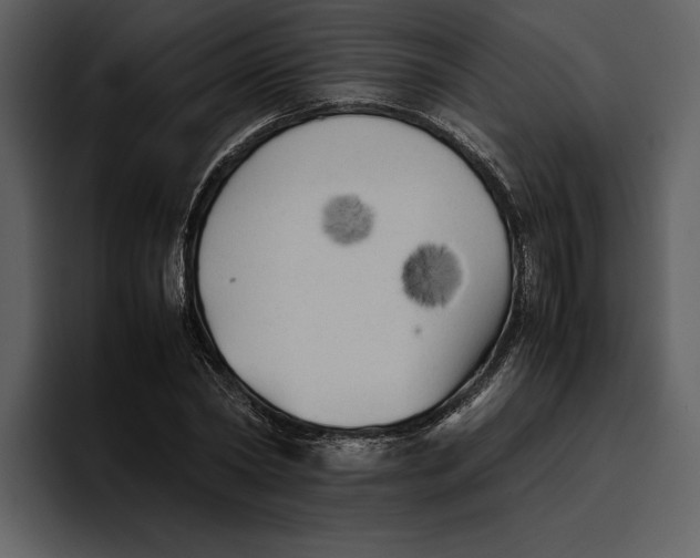 X0000095690782200801291216