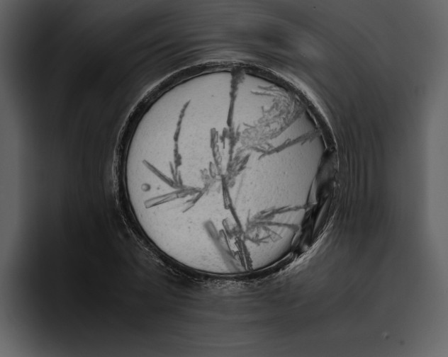 X0000095690783200801291216