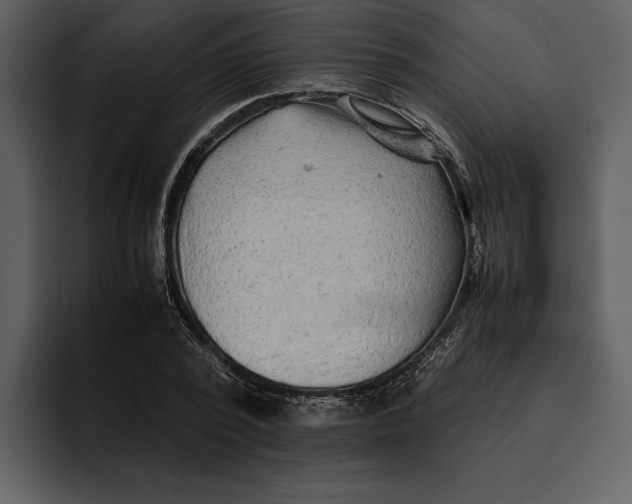 X0000095690784200801291216