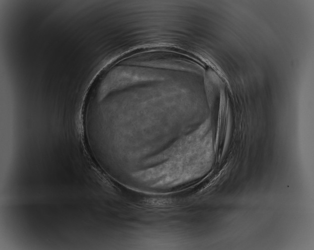 X0000095690789200801291216