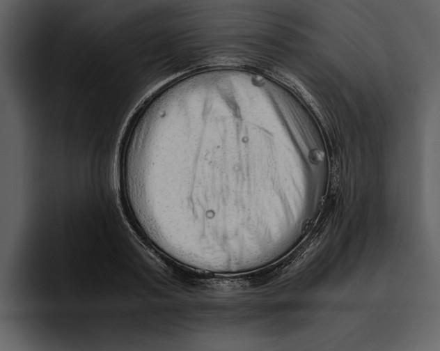 X0000095690795200801291216