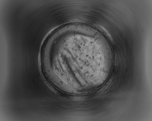 X0000095690796200801291216