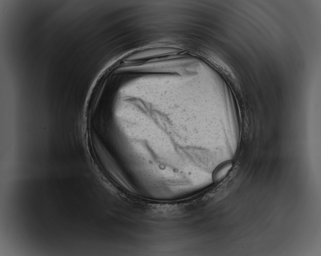 X0000095690800200801291216