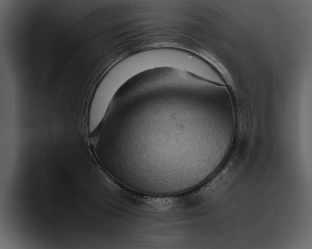 X0000095690801200801291216