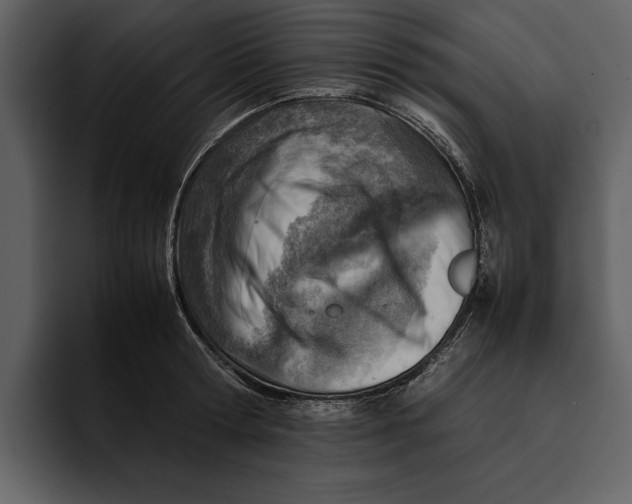 X0000095690802200801291216