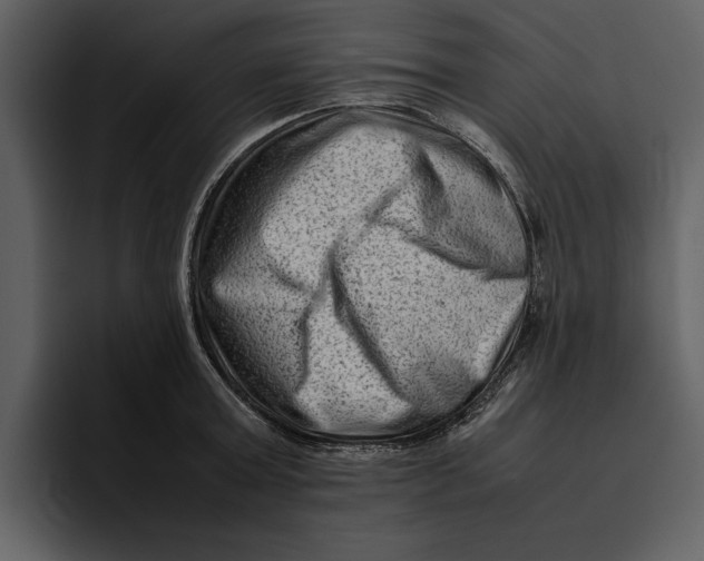 X0000095690803200801291216