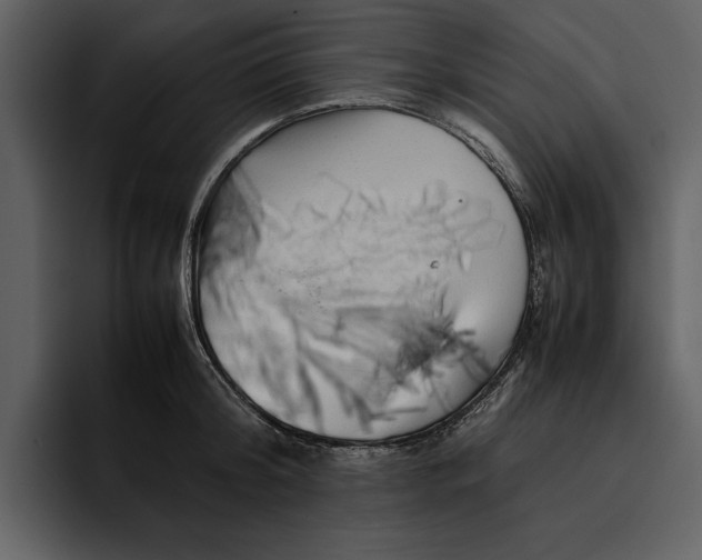 X0000095690804200801291216