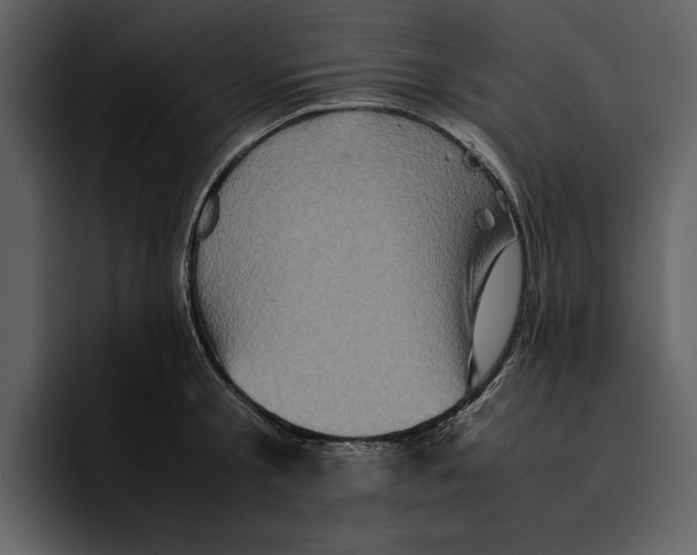 X0000095690805200801291216