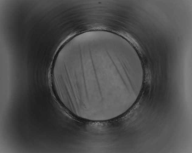 X0000095690806200801291216