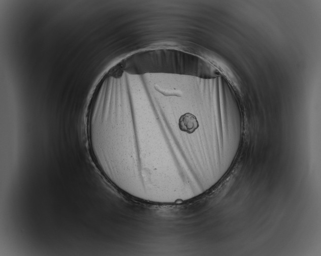 X0000095690808200801291216