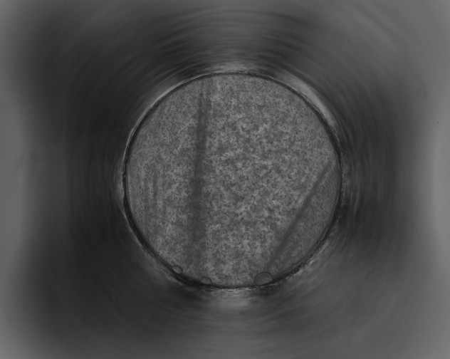 X0000095690810200801291216