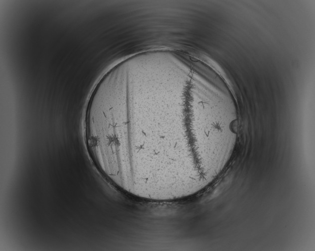 X0000095690811200801291216