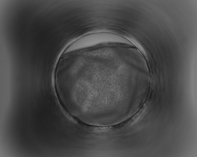 X0000095690813200801291216