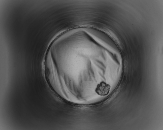 X0000095690814200801291216