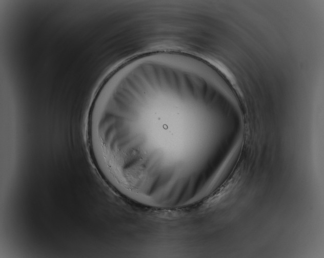 X0000095690815200801291216