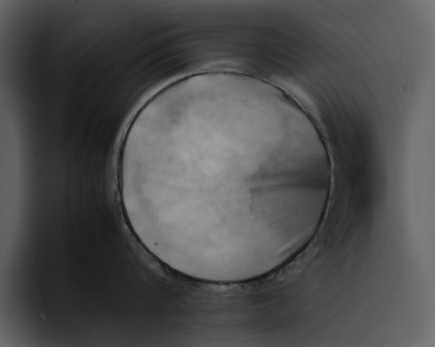 X0000095690816200801291216