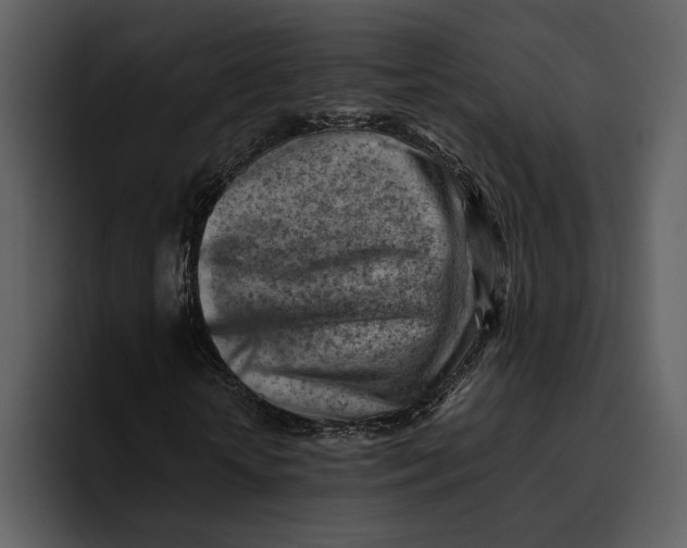 X0000095690818200801291215