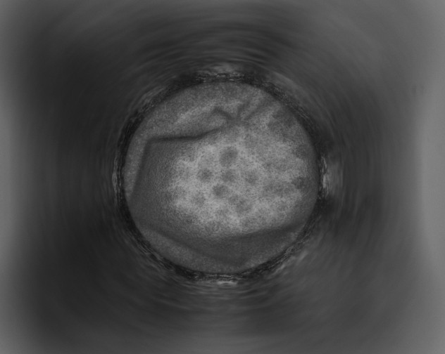 X0000095690819200801291215