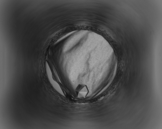 X0000095690821200801291215