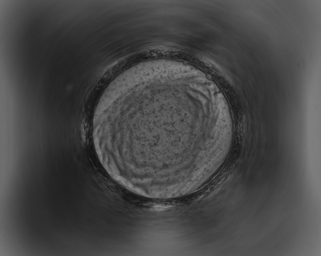 X0000095690822200801291215