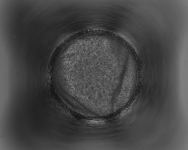 X0000095690823200801291215