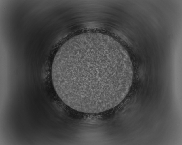 X0000095690824200801291215