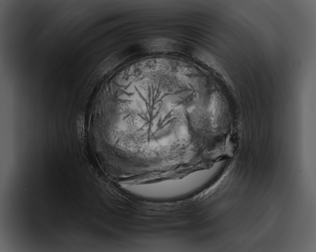 X0000095690825200801291215