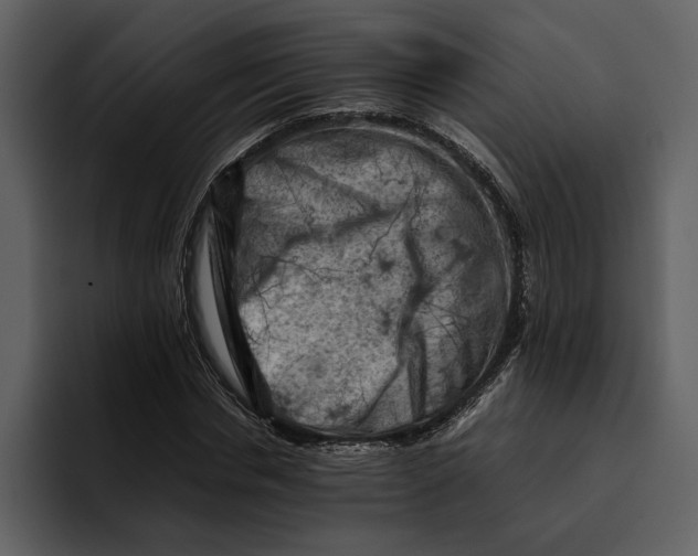 X0000095690826200801291215