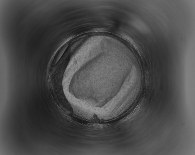 X0000095690827200801291215