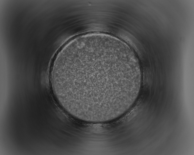 X0000095690828200801291215